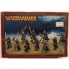 Warhammer Fantasy Battles High Elf Shadow Warriors - GW - 10 Plastic Miniatures