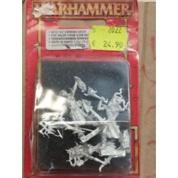 Warhammer Fantasy Battles Dark Elves Elf Witch Command Group Games Workshop GW A